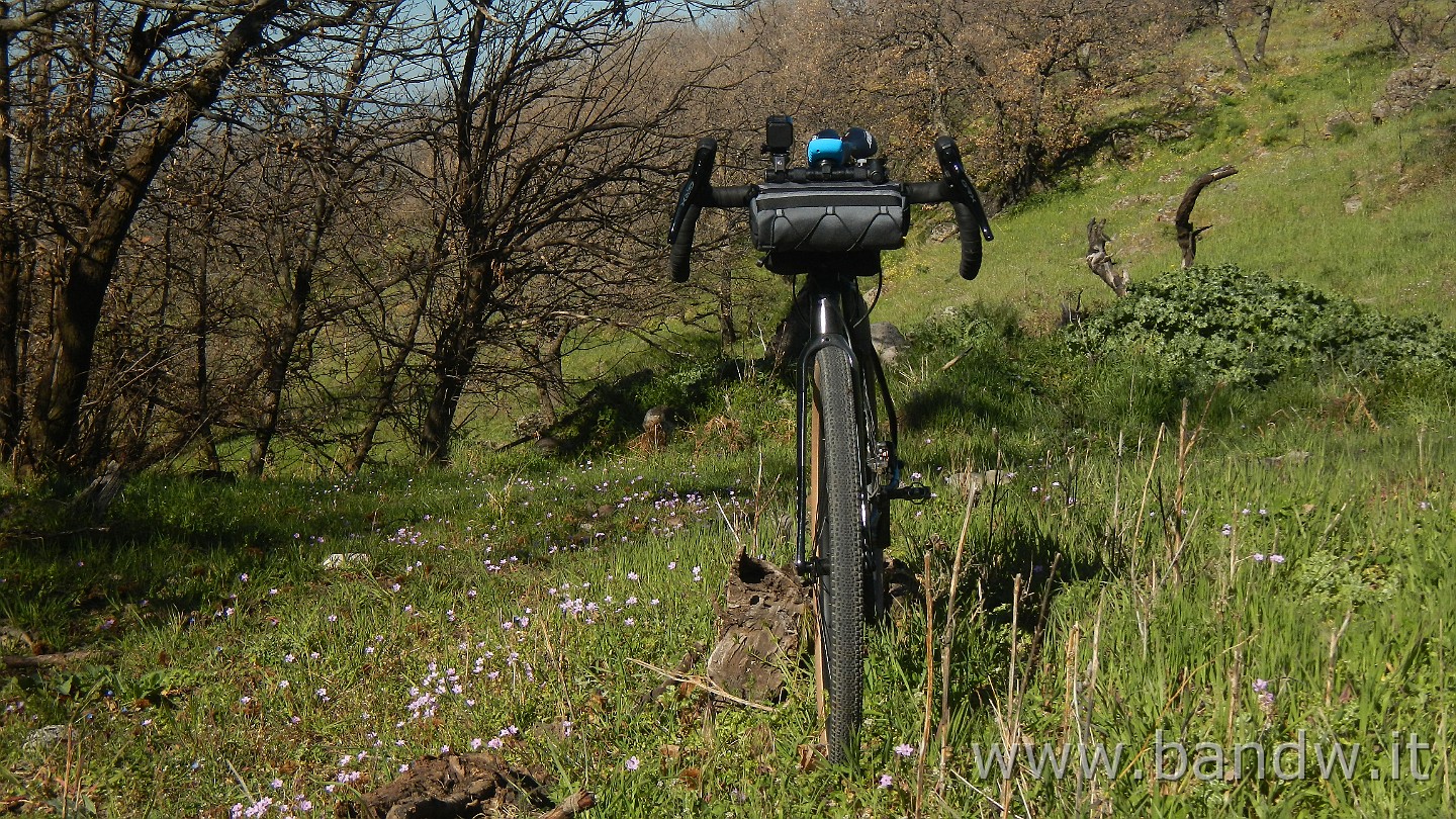 DSCN9493.JPG - In giro per vecchi sentieri
