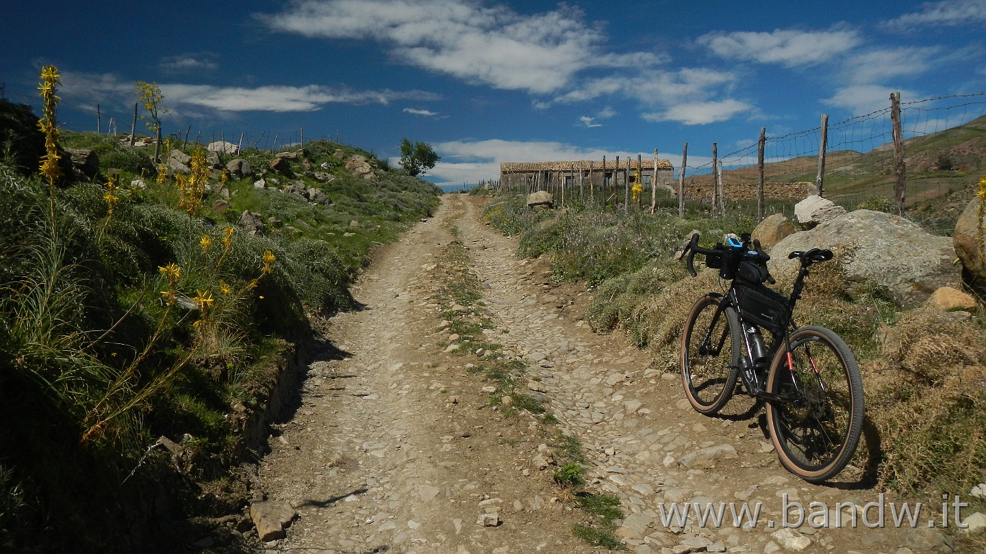 DSCN9520.JPG - In giro per vecchi sentieri