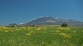 DSCN9537