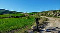 IMG20240208084121
