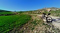 IMG20240208084149