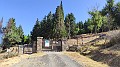 IMG_20230808_093422