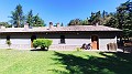IMG_20230808_101431