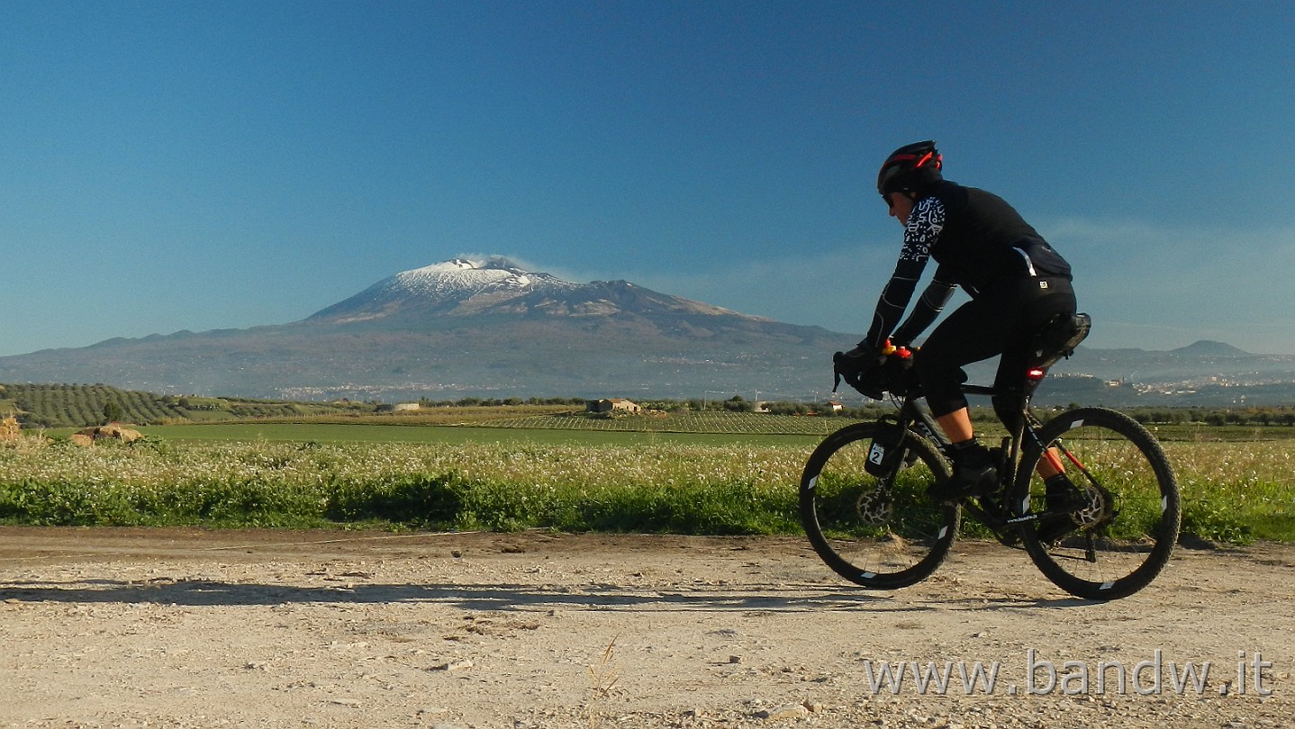 DSCN9976.JPG -                                