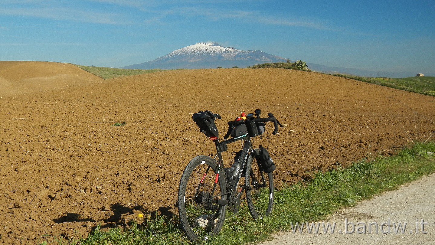 DSCN9990.JPG -                                