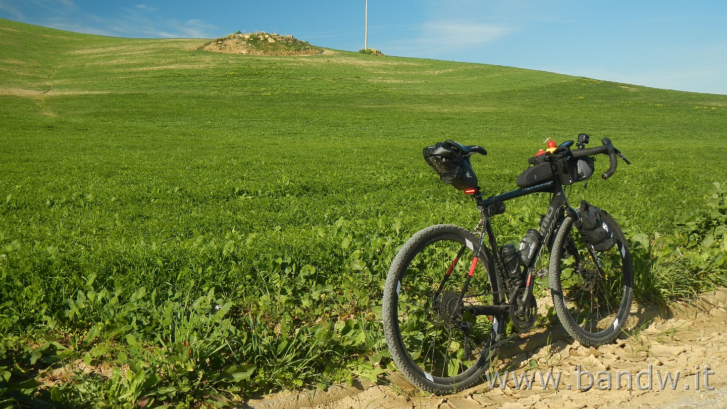 DSCN9996.JPG -                                