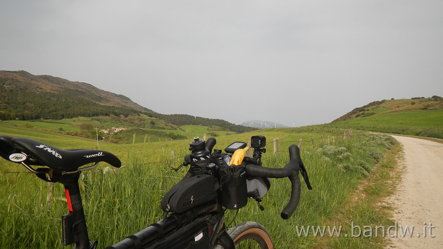 DSCN9569.JPG -                                