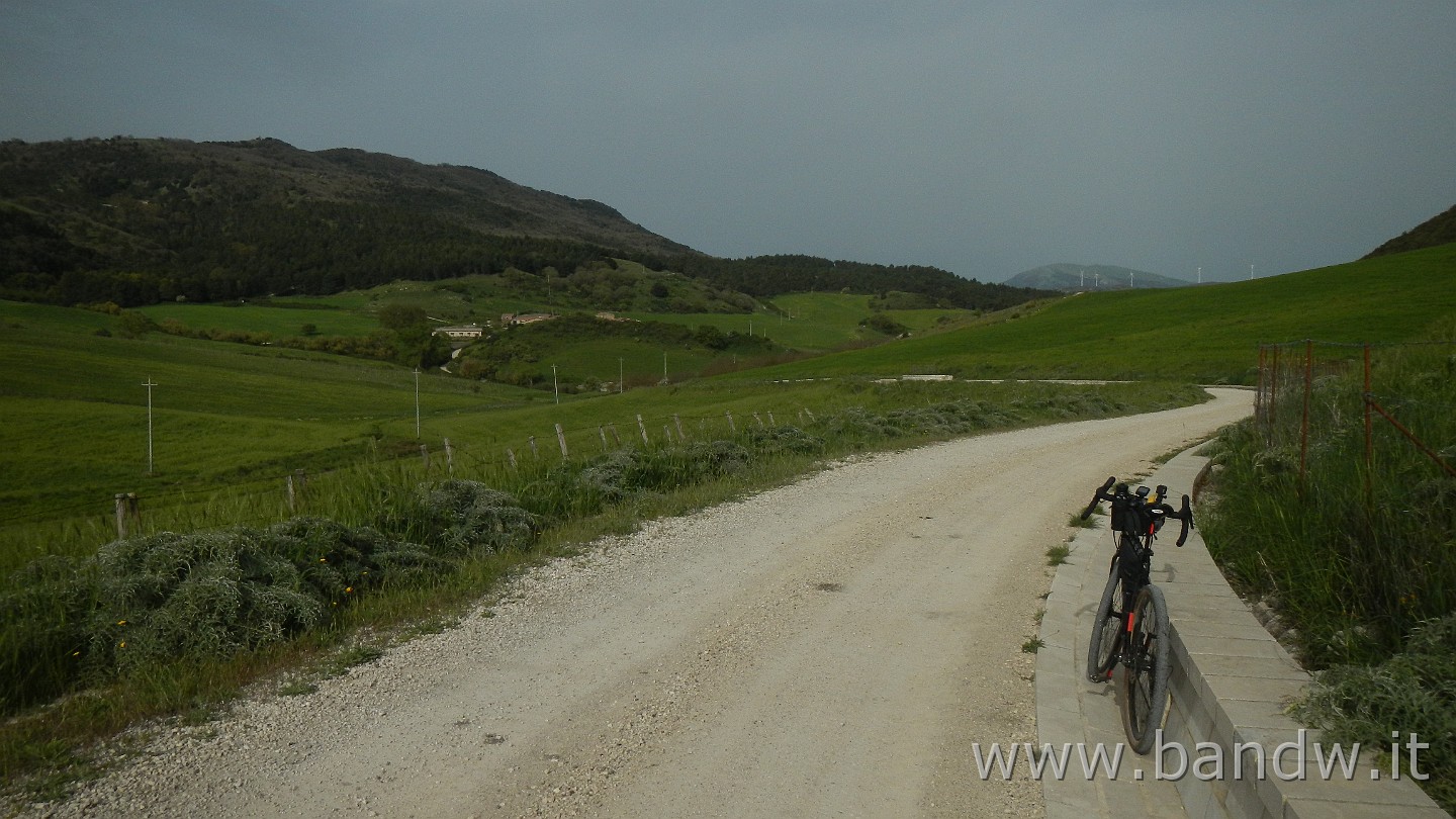 DSCN9570.JPG -                                