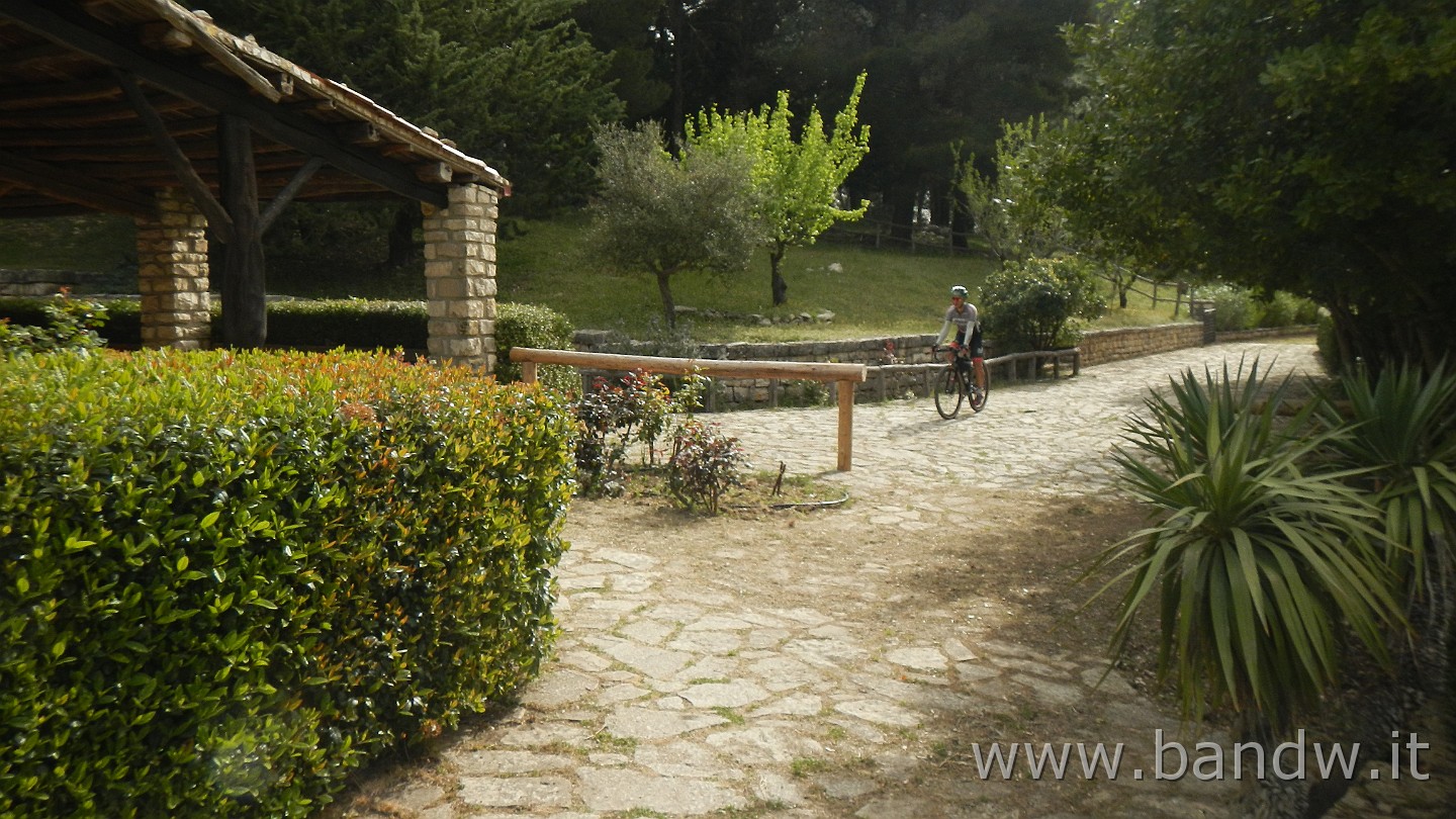 DSCN9574.JPG -                                