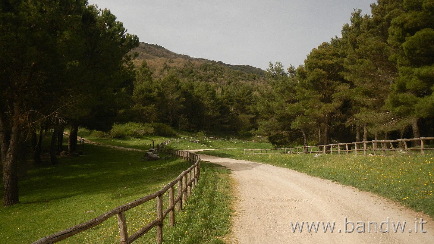 DSCN9576.JPG -                                