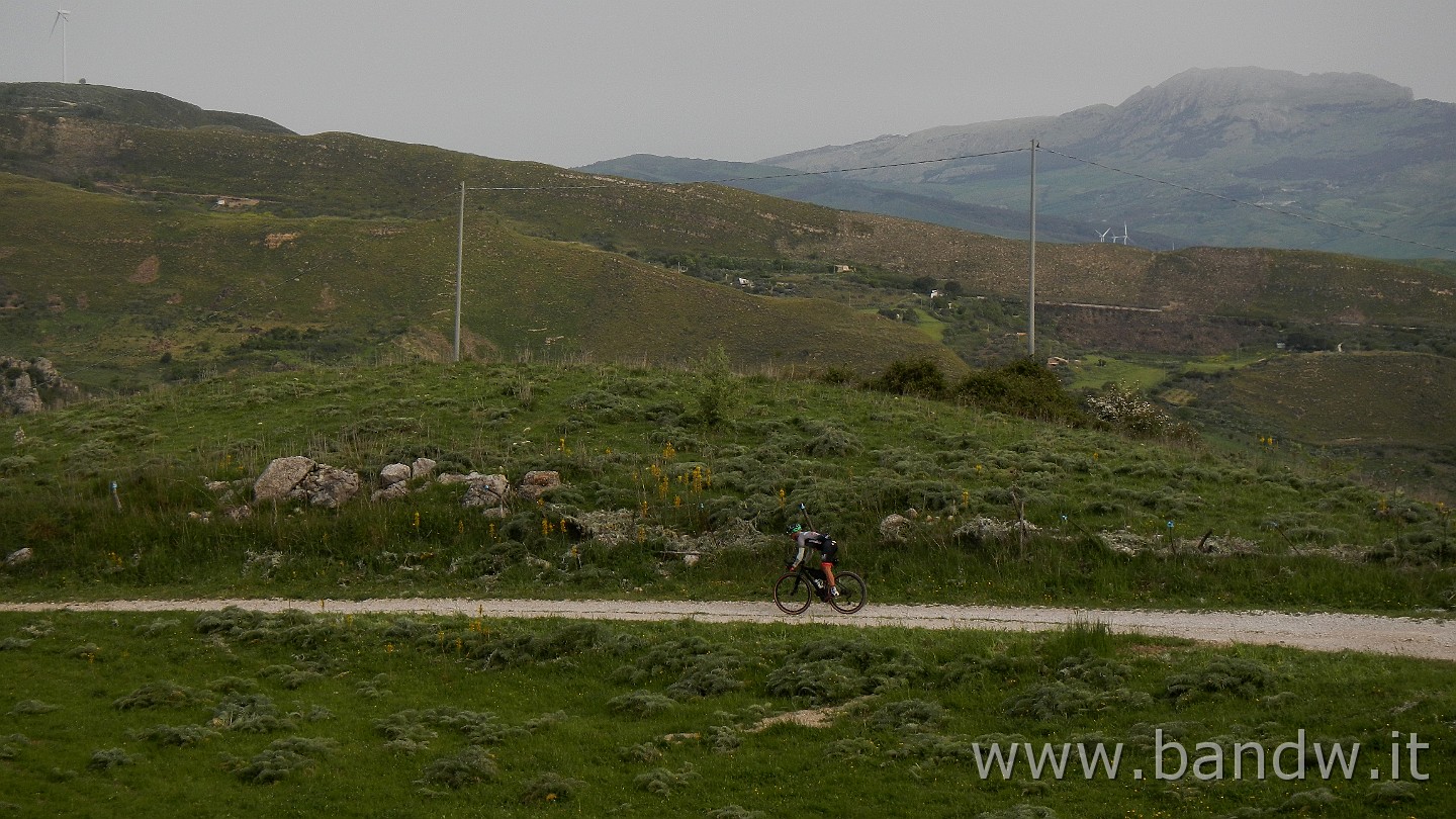 DSCN9580.JPG -                                
