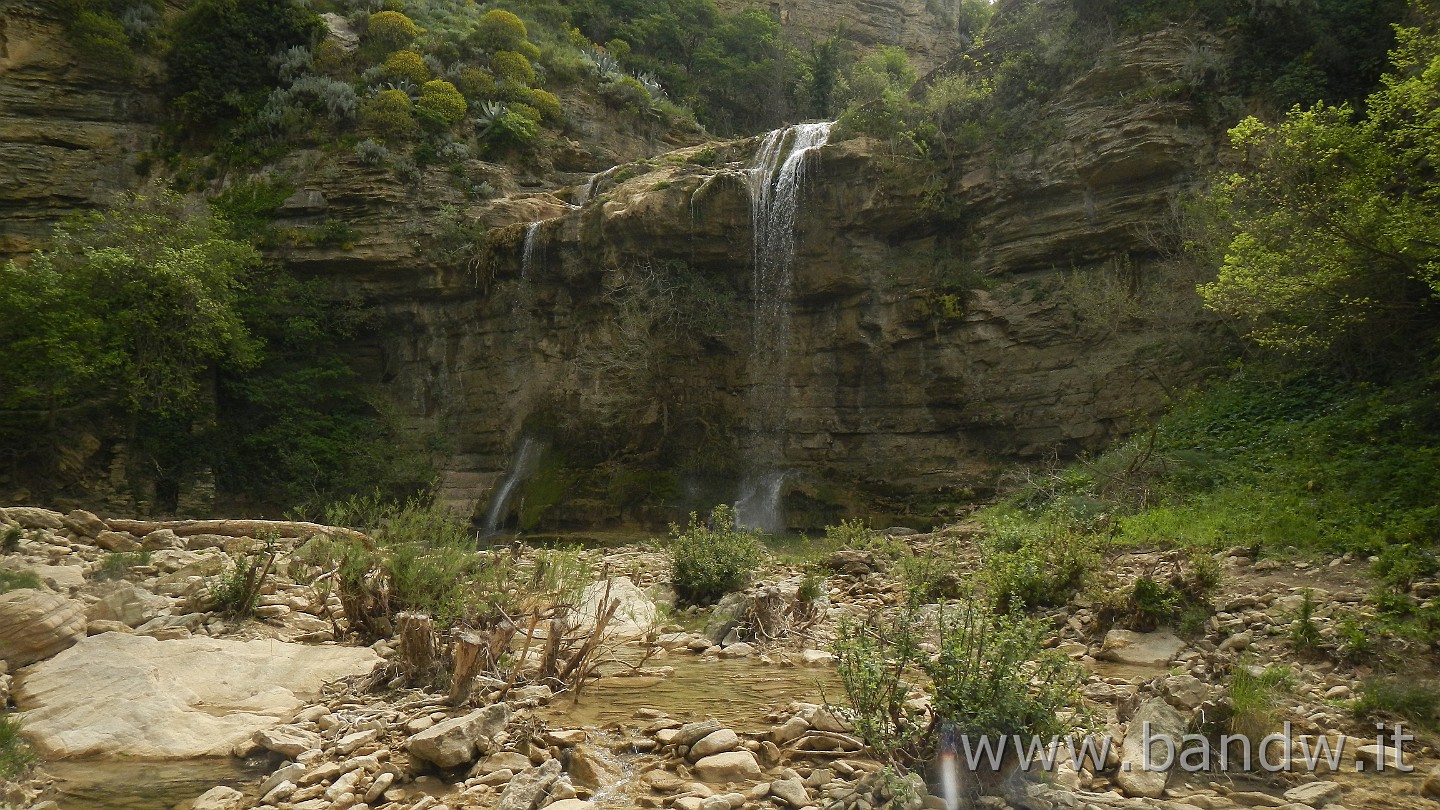 DSCN9585.JPG -                                