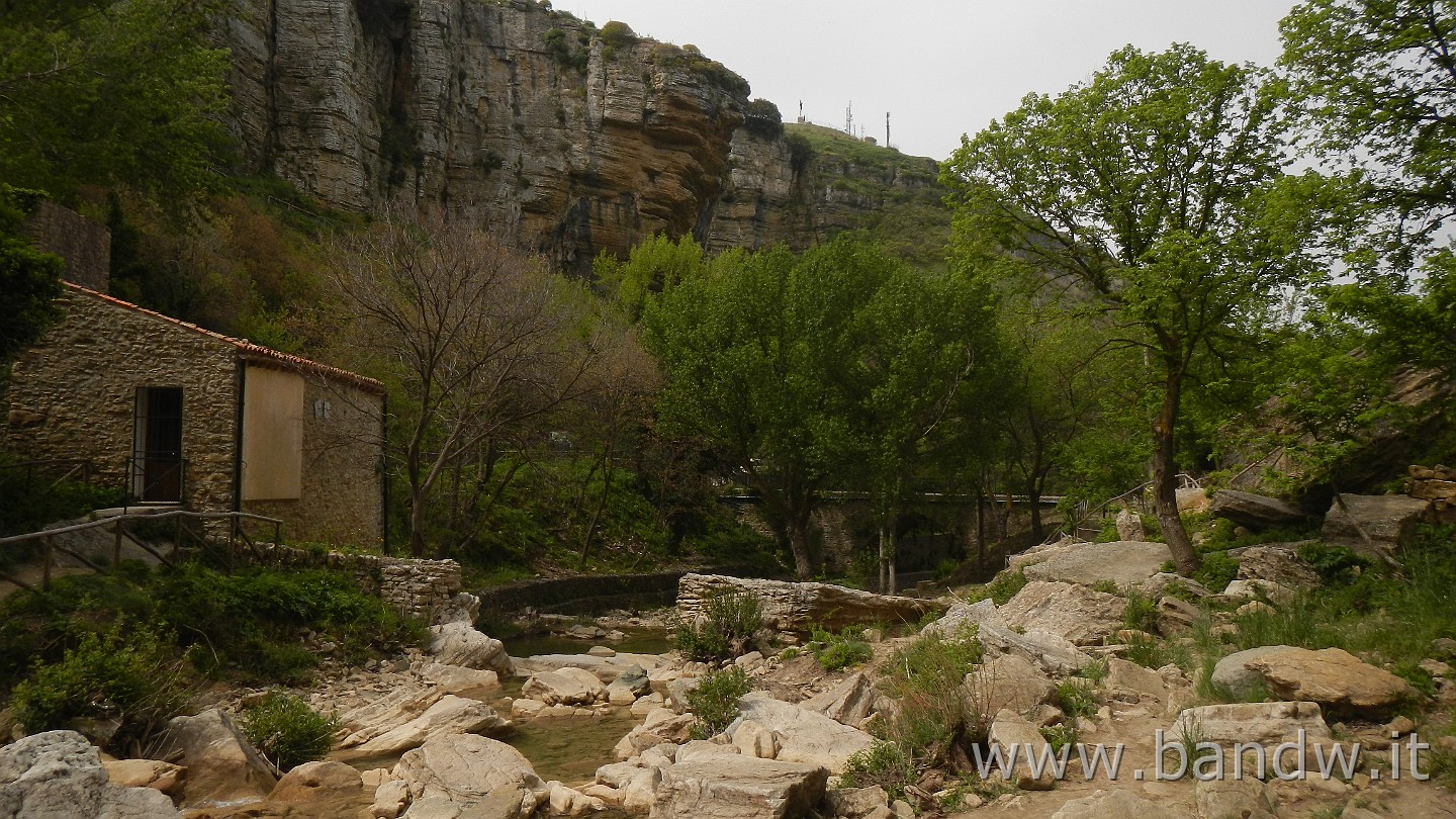 DSCN9586.JPG -                                