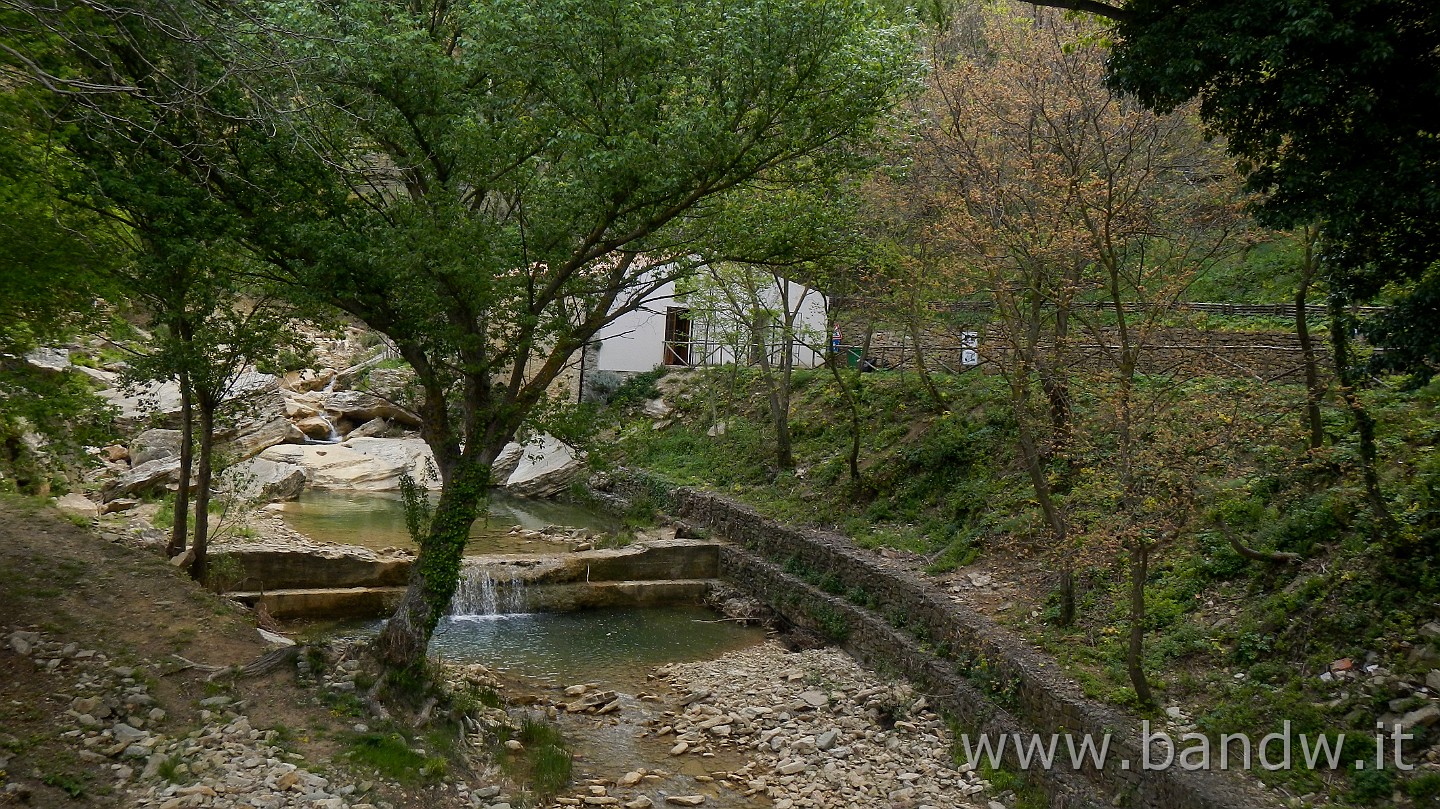 DSCN9593.JPG -                                