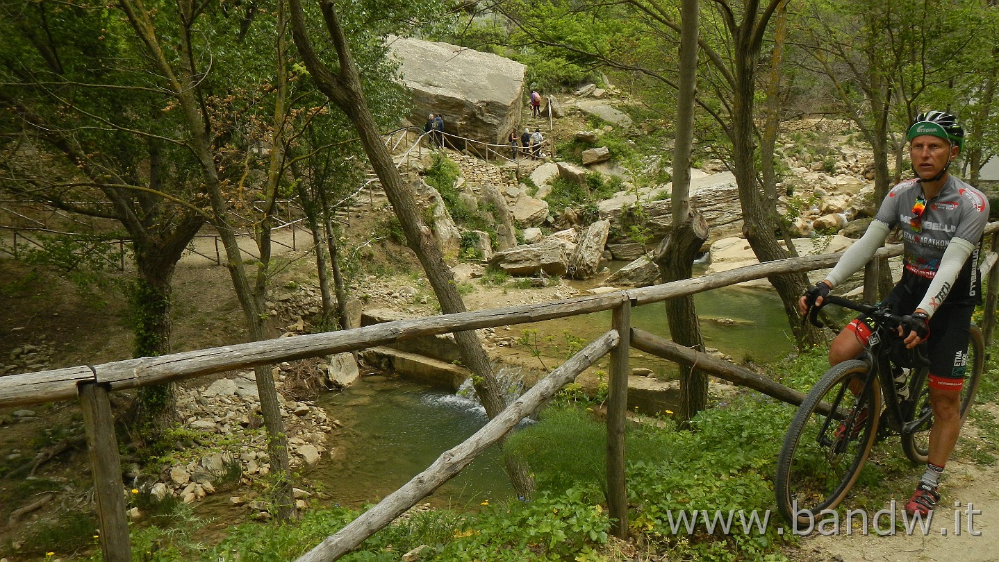 DSCN9595.JPG -                                
