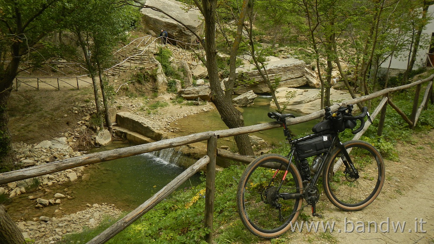 DSCN9596.JPG -                                