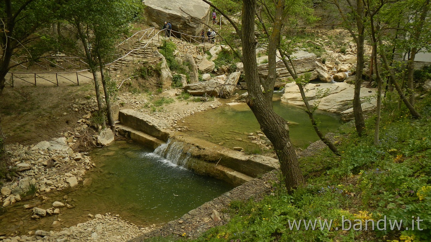 DSCN9597.JPG -                                