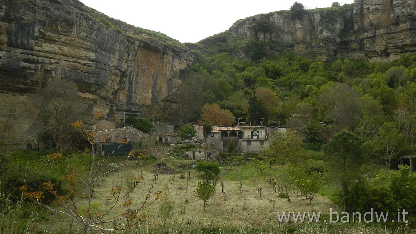 DSCN9598.JPG -                                