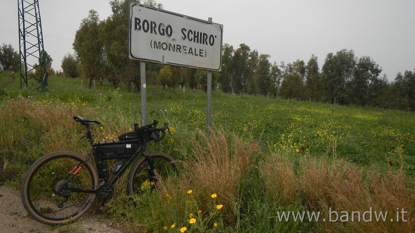 DSCN9599.JPG -                                