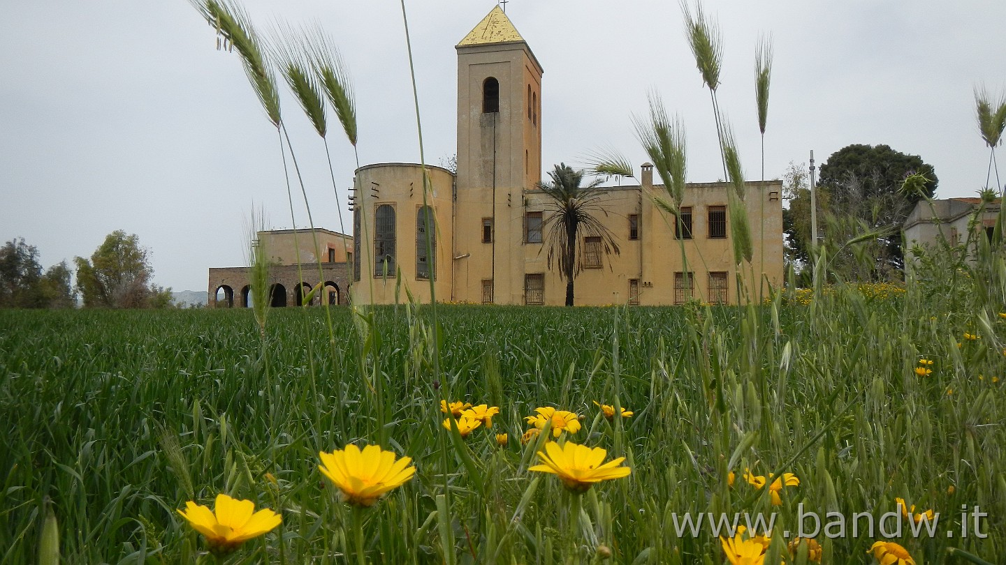 DSCN9612.JPG -                                