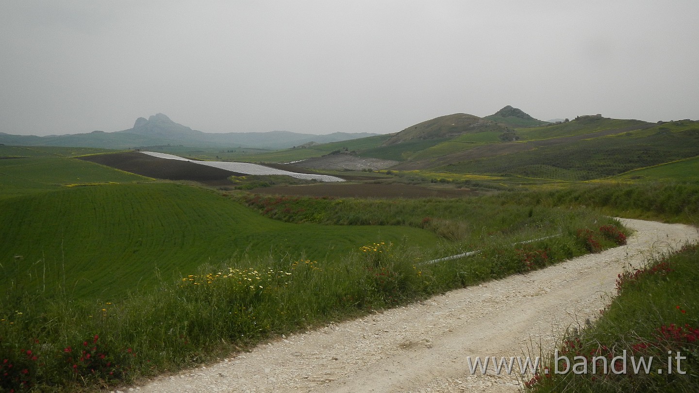 DSCN9614.JPG -                                