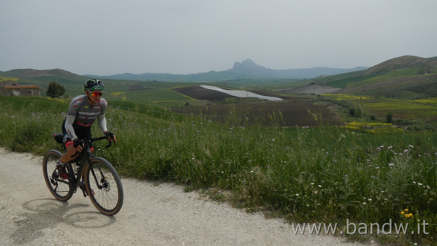 DSCN9617.JPG -                                
