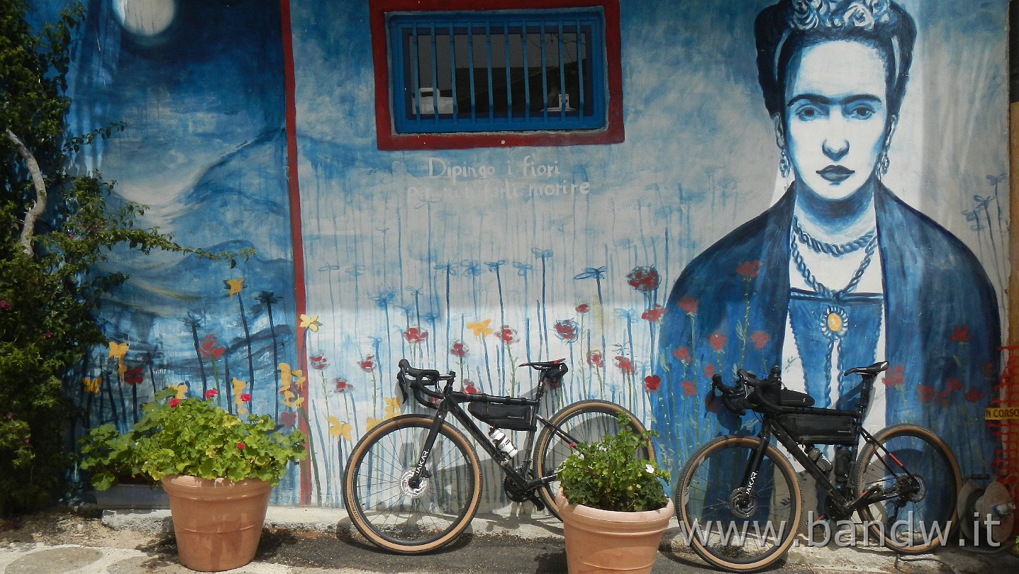 DSCN9631.JPG -                                