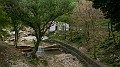 DSCN9593
