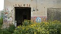 DSCN9608