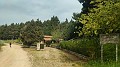 IMG20220428091450