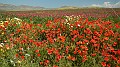 DSCN9658
