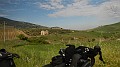 DSCN9716
