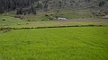 DSCN9737
