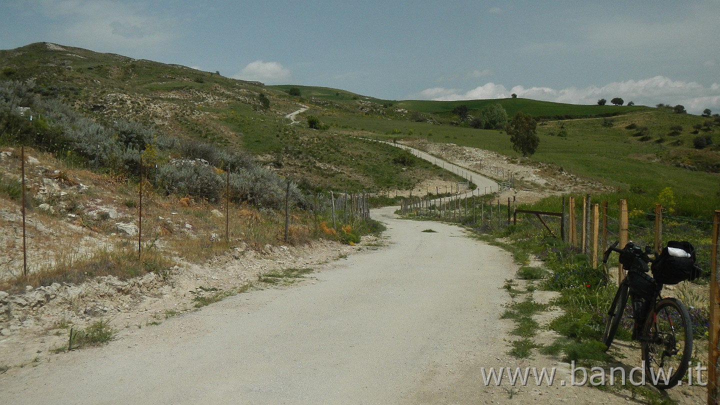 DSCN9774.JPG - La salita che mi condurrà a Portella alle Forche a 756 mt. diventa sempre più impegnativa