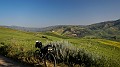 DSCN9745