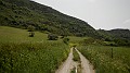 DSCN9776