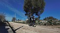 G0324836_1673792729208-02