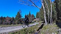 G2342365_1644578747439-01