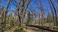 G2362390_1644578747439-01