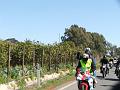 4MotoradunoCarricoforte(244)