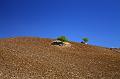 Adrano_e_Troina_022