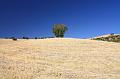 Adrano_e_Troina_026
