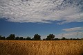 CapoPasseroCapoNord_003