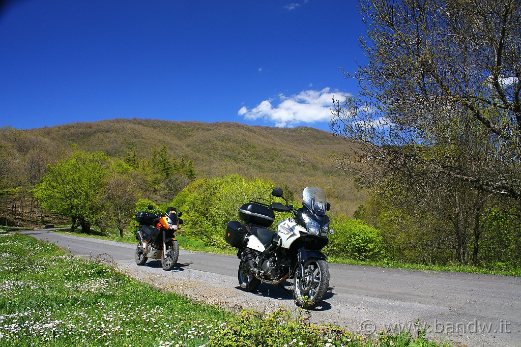 Dimensione_Natura_076.JPG