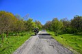 Dimensione_Natura_009