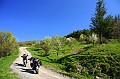 Dimensione_Natura_029