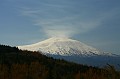 Dimensione_Natura_030