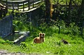 Dimensione_Natura_032