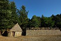 IMG_9541