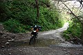Senza_meta_017